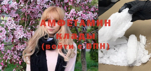 сатива Вяземский