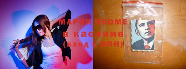 сатива Вяземский