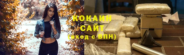 сатива Вяземский