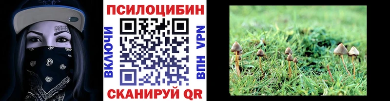 Псилоцибиновые грибы мухоморы  Купить где  Людиново 